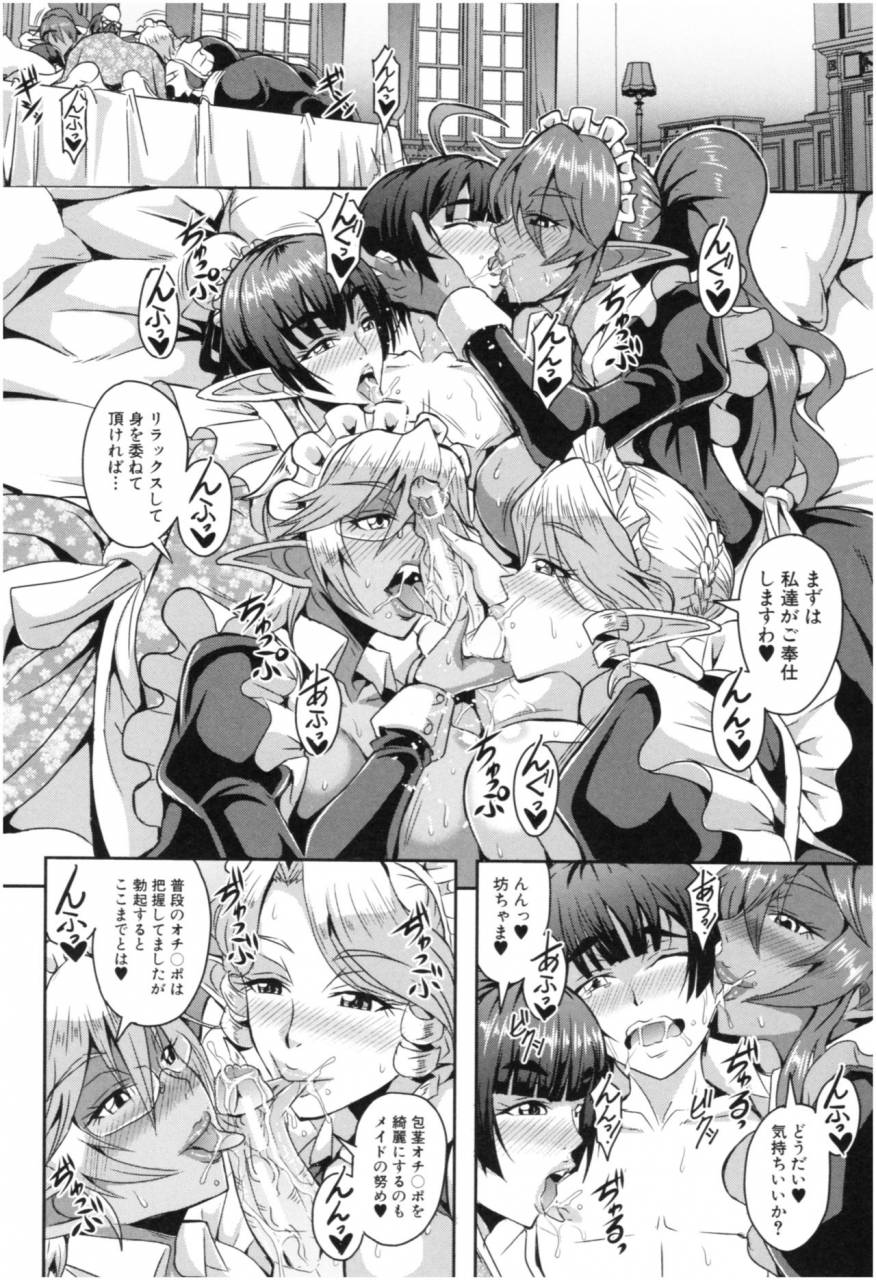 mifune-seijirou-elf-harem-monogatari-elf-harem-story