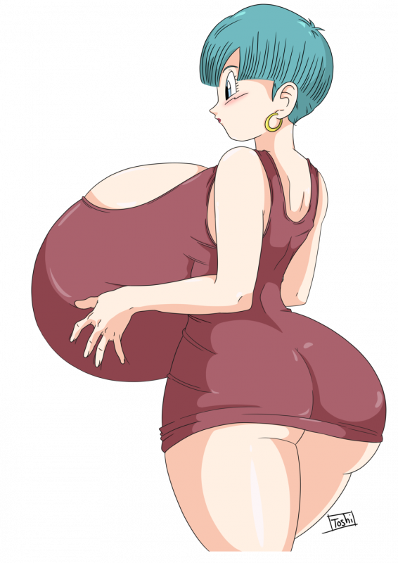 bulma briefs