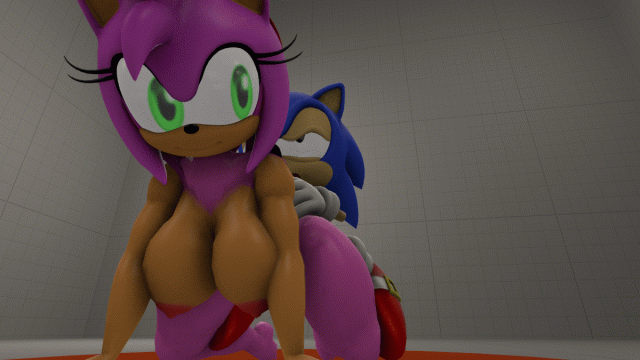 amy rose+sonic the hedgehog