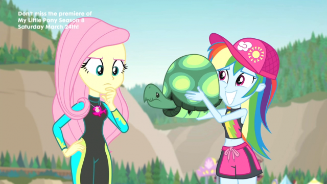 fluttershy+rainbow dash+tank